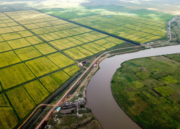 2019년 4월 7일 드론으로 촬영한 모잠비크의 논밭. 이는 중국이 아프리카에서 추진한 가장 큰 규모의 벼농사 프로젝트로 현지 식량부족 문제 해결에 크게 기여했다는 평가를 받고 있다.