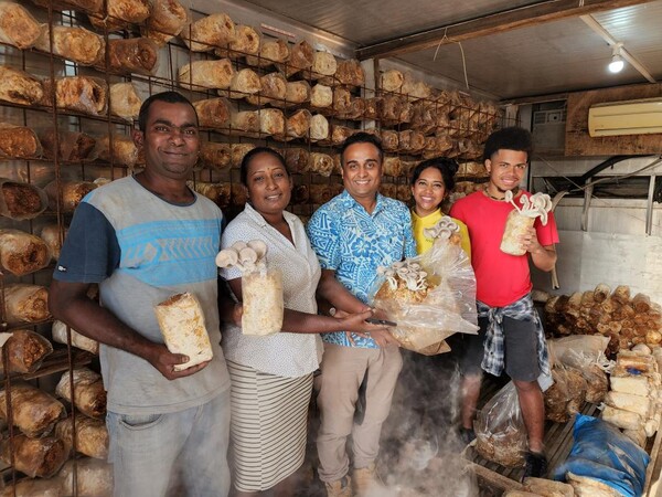 한 피지 버섯회사 직원들이 지난 5월 11일 피지에서 셋째로 큰 도시 나디에서 운영되고 있는 균초기술시범센터프로젝트의 도움으로 재배한 버섯을 들어 보이고 있다.