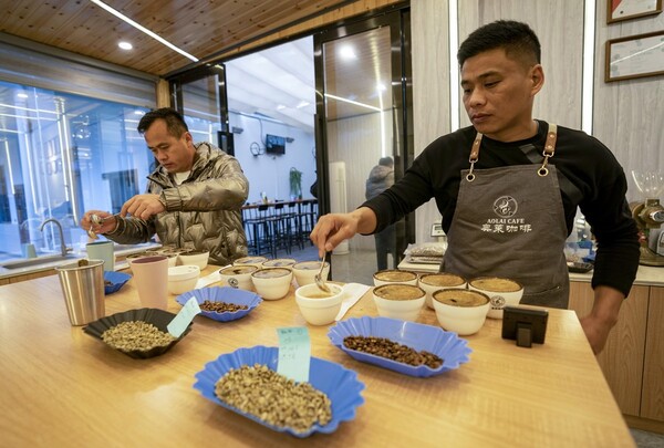 지난 2월 22일 윈난(雲南)성 푸얼(普洱)시의 한 커피 회사에서 직원들이 내린 커피를 테스트하고 있다.